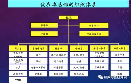 優衣庫 逆境中的市場突圍者，為何在洋品牌退潮時進入“當打之年”？